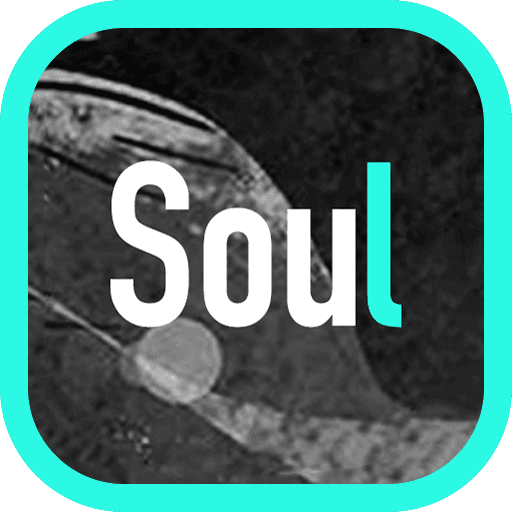 Soul軟件