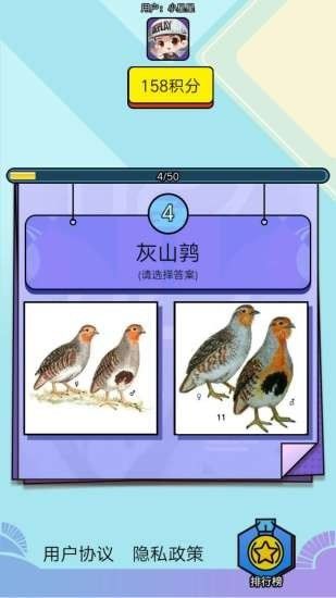 飞鸟乐园游戏 v1.5.1 安卓版 1